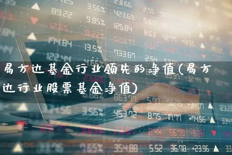 易方达基金行业领先的净值(易方达行业股票基金净值)_https://www.syklpowerbike.com_创业板_第1张
