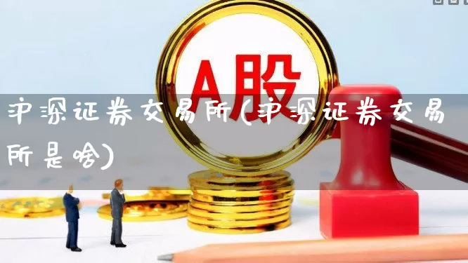 沪深证券交易所(沪深证券交易所是啥)_https://www.syklpowerbike.com_创业板_第1张