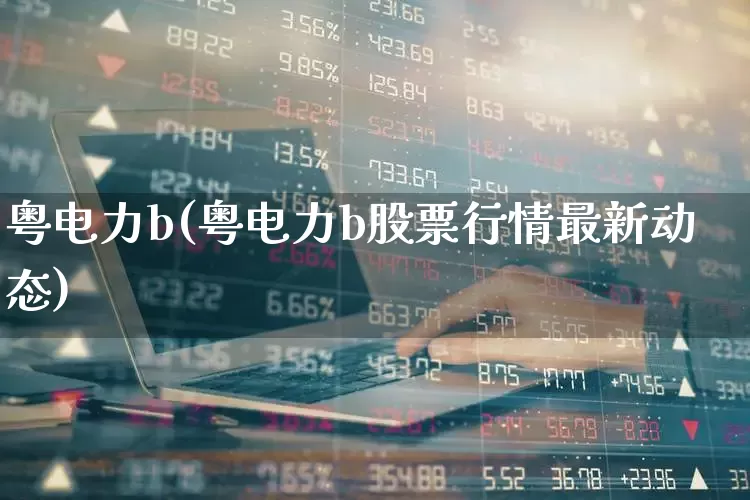 粤电力b(粤电力b股票行情最新动态)_https://www.syklpowerbike.com_深交所_第1张
