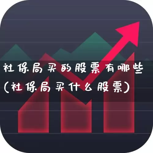 社保局买的股票有哪些(社保局买什么股票)_https://www.syklpowerbike.com_科创板_第1张
