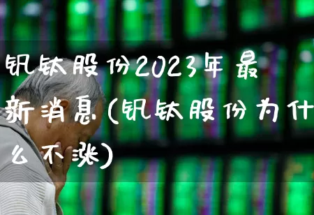 钒钛股份2023年最新消息(钒钛股份为什么不涨)_https://www.syklpowerbike.com_创业板_第1张