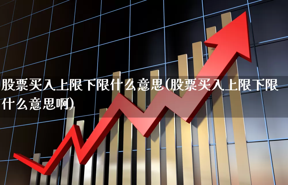 股票买入上限下限什么意思(股票买入上限下限什么意思啊)_https://www.syklpowerbike.com_上交所_第1张