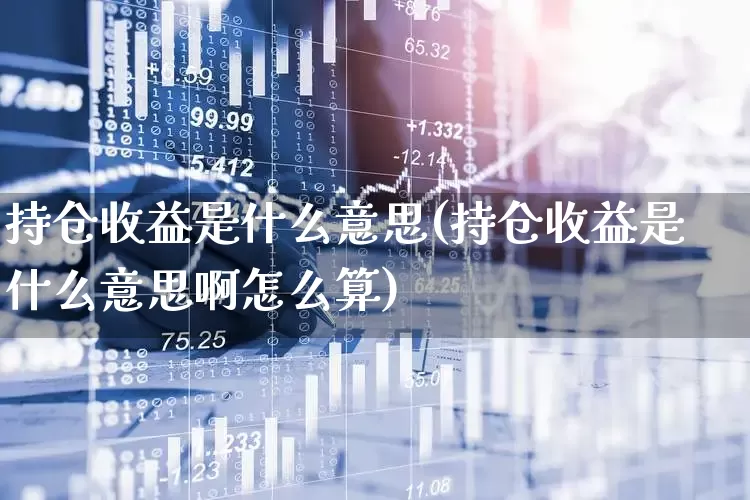 持仓收益是什么意思(持仓收益是什么意思啊怎么算)_https://www.syklpowerbike.com_北交所_第1张
