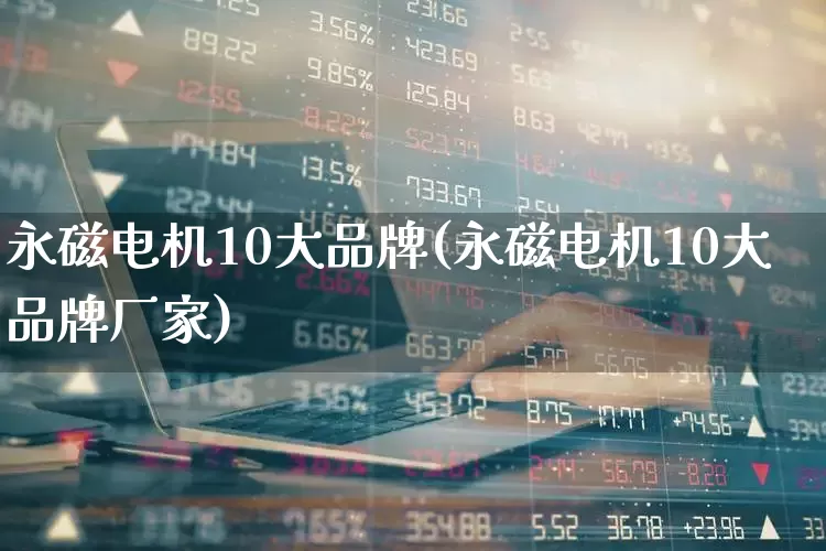 永磁电机10大品牌(永磁电机10大品牌厂家)_https://www.syklpowerbike.com_上交所_第1张