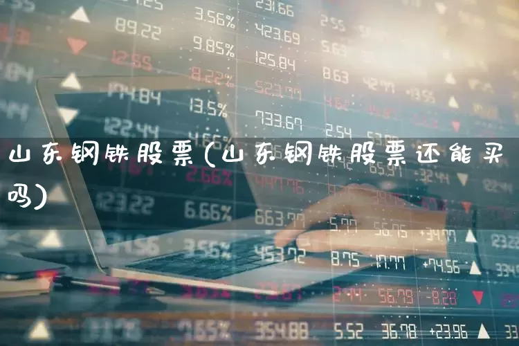 山东钢铁股票(山东钢铁股票还能买吗)_https://www.syklpowerbike.com_创业板_第1张