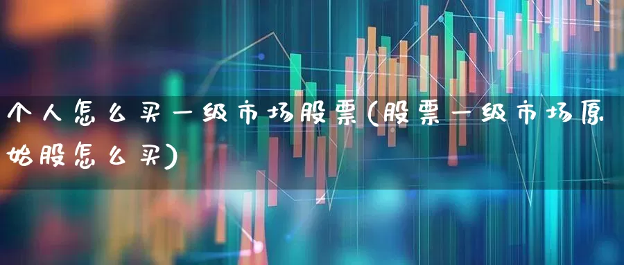 个人怎么买一级市场股票(股票一级市场原始股怎么买)_https://www.syklpowerbike.com_科创板_第1张