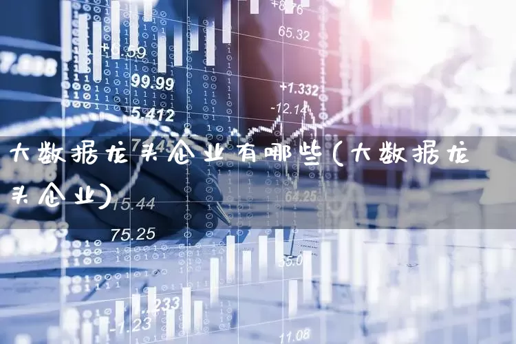 大数据龙头企业有哪些(大数据龙头企业)_https://www.syklpowerbike.com_上交所_第1张