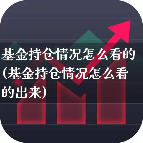 基金持仓情况怎么看的(基金持仓情况怎么看的出来)_https://www.syklpowerbike.com_创业板_第1张