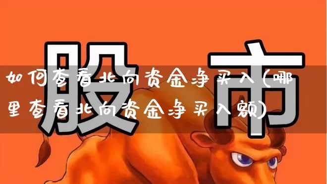 如何查看北向资金净买入(哪里查看北向资金净买入额)_https://www.syklpowerbike.com_科创板_第1张