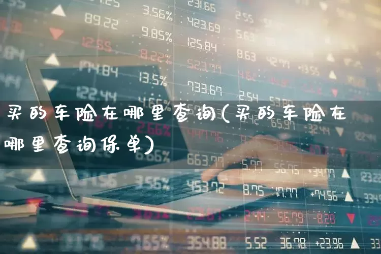 买的车险在哪里查询(买的车险在哪里查询保单)_https://www.syklpowerbike.com_上交所_第1张
