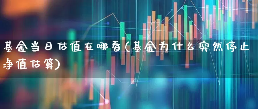 基金当日估值在哪看(基金为什么突然停止净值估算)_https://www.syklpowerbike.com_深交所_第1张