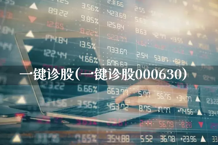 一键诊股(一键诊股000630)_https://www.syklpowerbike.com_北交所_第1张