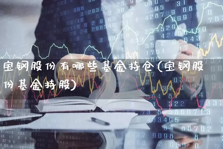宝钢股份有哪些基金持仓(宝钢股份基金持股)_https://www.syklpowerbike.com_上交所_第1张