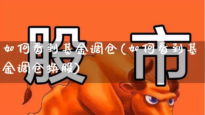 如何看到基金调仓(如何看到基金调仓换股)_https://www.syklpowerbike.com_创业板_第1张