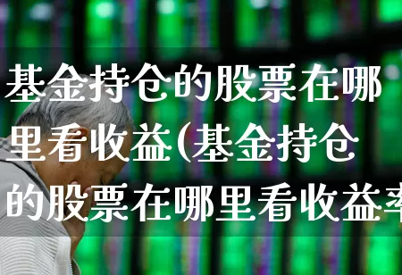 基金持仓的股票在哪里看收益(基金持仓的股票在哪里看收益率)_https://www.syklpowerbike.com_深交所_第1张