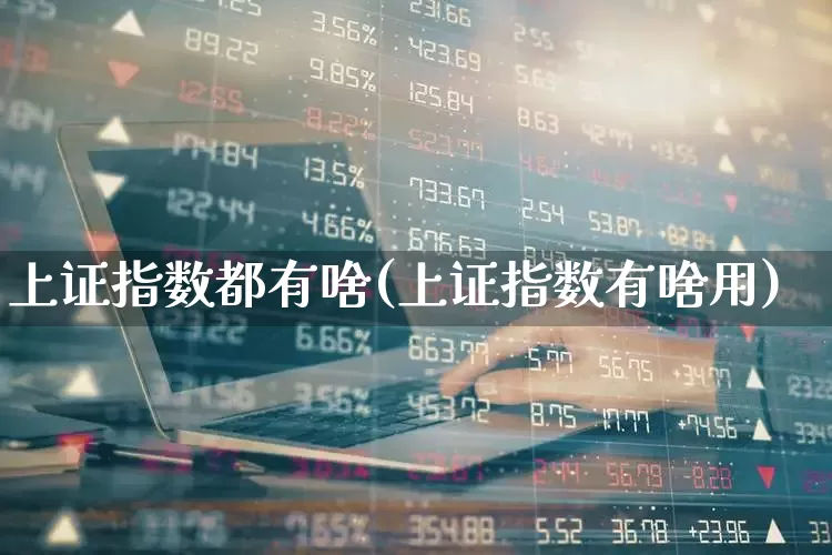 上证指数都有啥(上证指数有啥用)_https://www.syklpowerbike.com_创业板_第1张