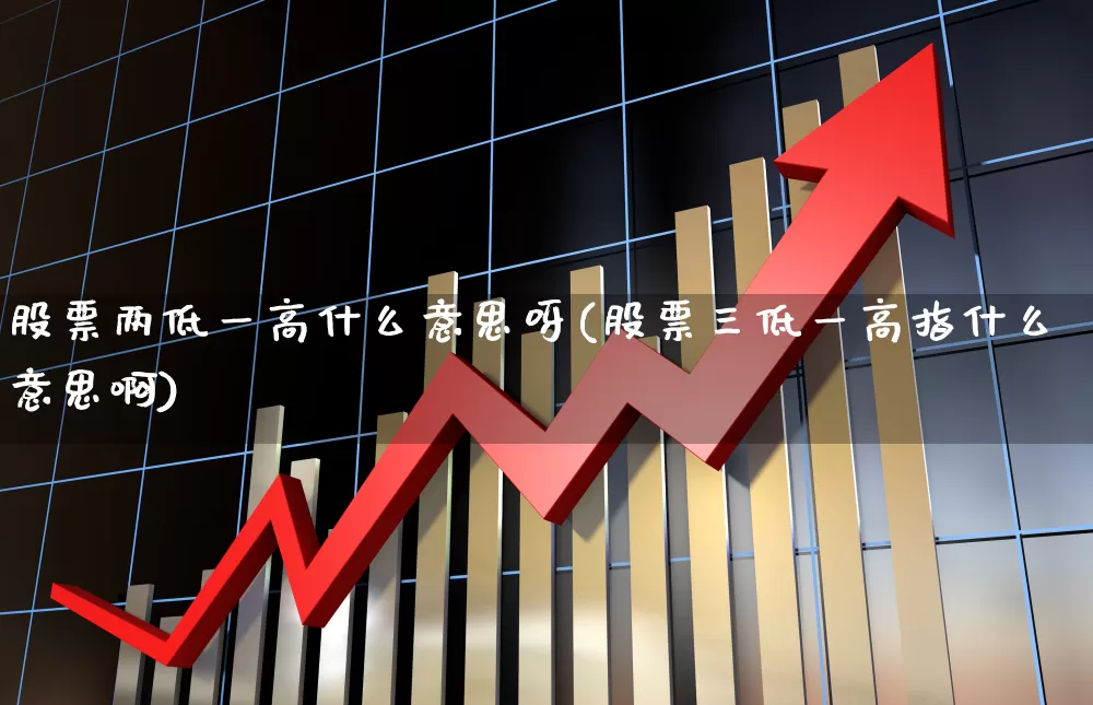 股票两低一高什么意思呀(股票三低一高指什么意思啊)_https://www.syklpowerbike.com_北交所_第1张
