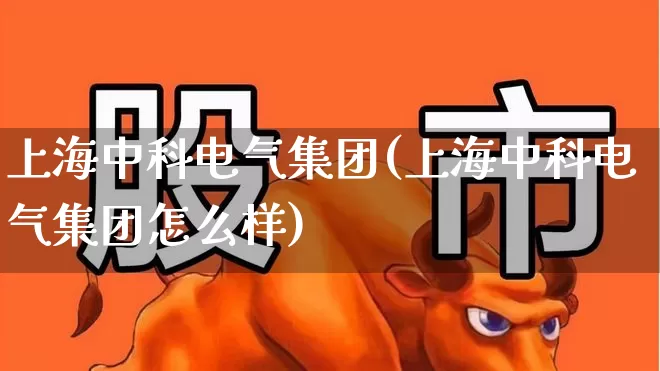 上海中科电气集团(上海中科电气集团怎么样)_https://www.syklpowerbike.com_深交所_第1张