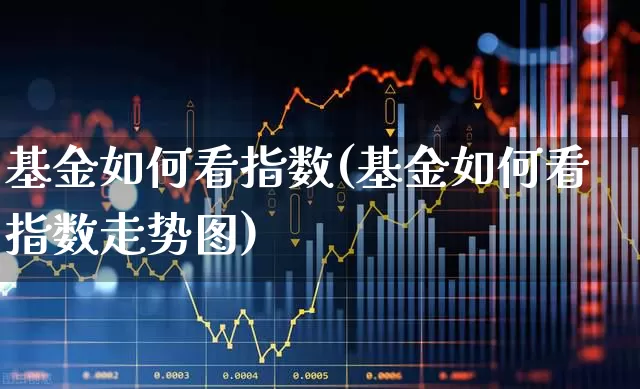 基金如何看指数(基金如何看指数走势图)_https://www.syklpowerbike.com_科创板_第1张