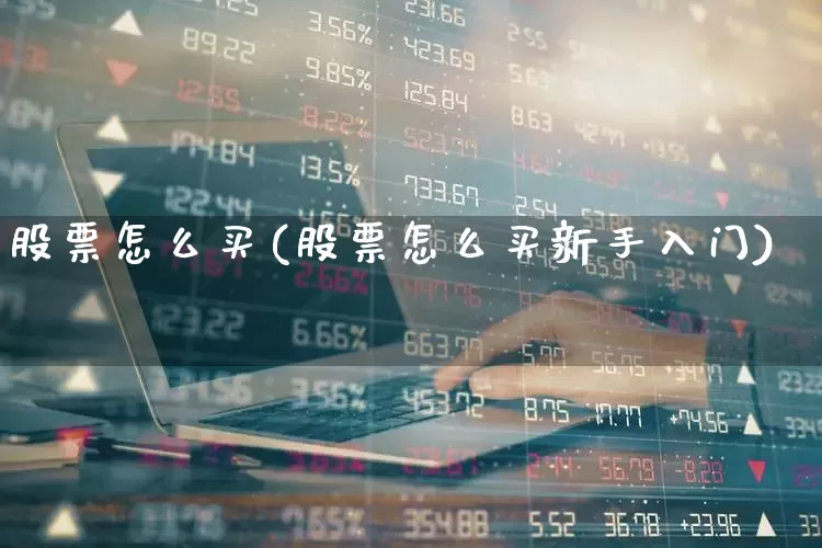 股票怎么买(股票怎么买新手入门)_https://www.syklpowerbike.com_北交所_第1张