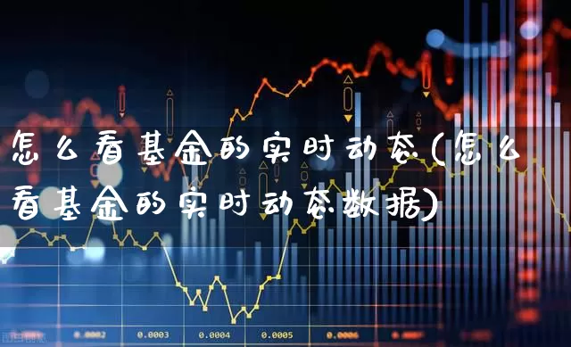 怎么看基金的实时动态(怎么看基金的实时动态数据)_https://www.syklpowerbike.com_北交所_第1张