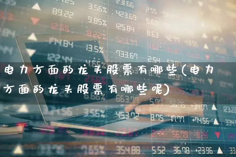 电力方面的龙头股票有哪些(电力方面的龙头股票有哪些呢)_https://www.syklpowerbike.com_北交所_第1张