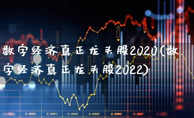 数字经济真正龙头股2020(数字经济真正龙头股2022)_https://www.syklpowerbike.com_上交所_第1张