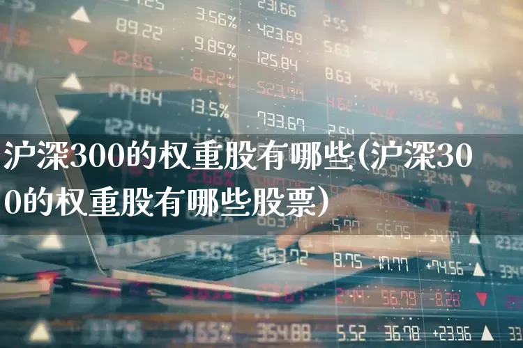 沪深300的权重股有哪些(沪深300的权重股有哪些股票)_https://www.syklpowerbike.com_创业板_第1张