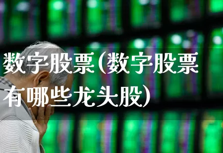 数字股票(数字股票有哪些龙头股)_https://www.syklpowerbike.com_创业板_第1张