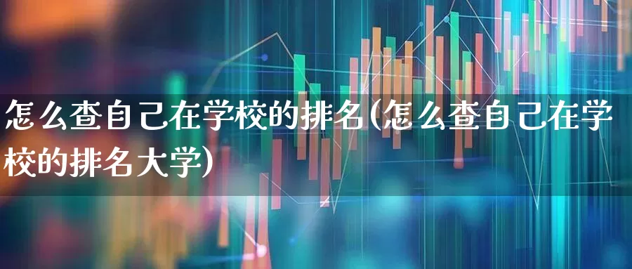 怎么查自己在学校的排名(怎么查自己在学校的排名大学)_https://www.syklpowerbike.com_深交所_第1张
