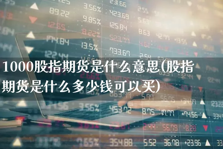 1000股指期货是什么意思(股指期货是什么多少钱可以买)_https://www.syklpowerbike.com_创业板_第1张