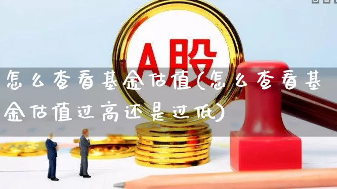 怎么查看基金估值(怎么查看基金估值过高还是过低)_https://www.syklpowerbike.com_创业板_第1张