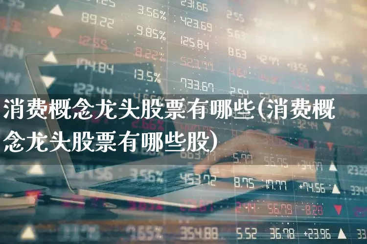 消费概念龙头股票有哪些(消费概念龙头股票有哪些股)_https://www.syklpowerbike.com_北交所_第1张