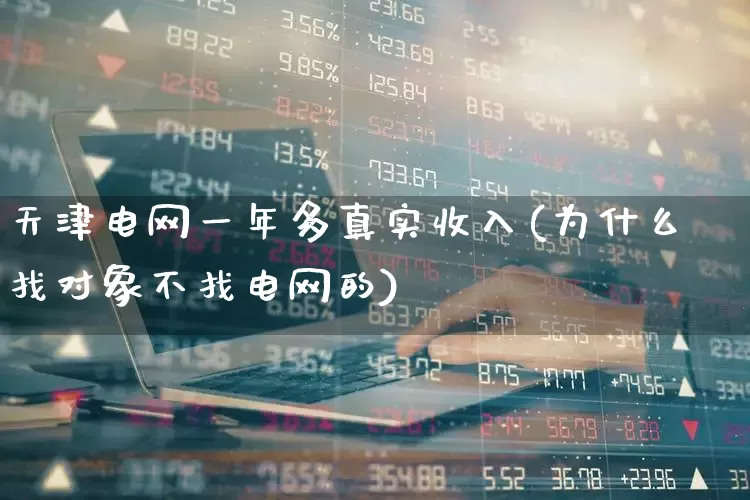 天津电网一年多真实收入(为什么找对象不找电网的)_https://www.syklpowerbike.com_上交所_第1张
