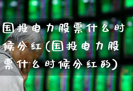 国投电力股票什么时候分红(国投电力股票什么时候分红的)_https://www.syklpowerbike.com_上交所_第1张