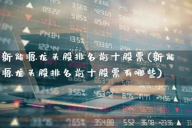 新能源龙头股排名前十股票(新能源龙头股排名前十股票有哪些)_https://www.syklpowerbike.com_北交所_第1张