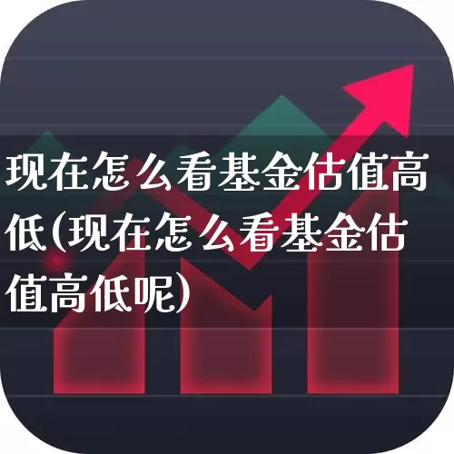现在怎么看基金估值高低(现在怎么看基金估值高低呢)_https://www.syklpowerbike.com_北交所_第1张