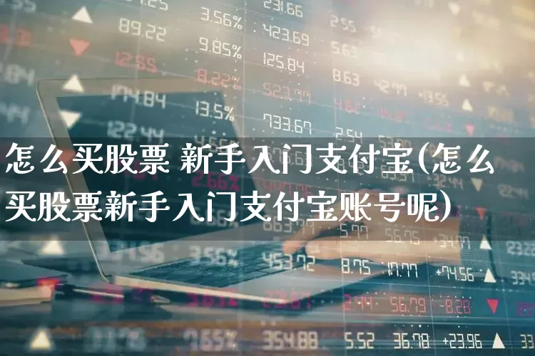 怎么买股票 新手入门支付宝(怎么买股票新手入门支付宝账号呢)_https://www.syklpowerbike.com_深交所_第1张