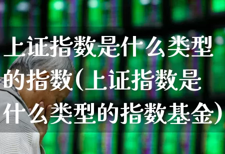 上证指数是什么类型的指数(上证指数是什么类型的指数基金)_https://www.syklpowerbike.com_上交所_第1张