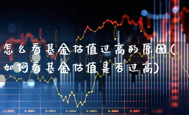 怎么看基金估值过高的原因(如何看基金估值是否过高)_https://www.syklpowerbike.com_创业板_第1张
