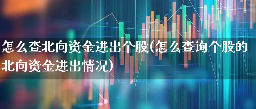 怎么查北向资金进出个股(怎么查询个股的北向资金进出情况)_https://www.syklpowerbike.com_深交所_第1张
