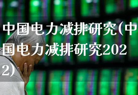 中国电力减排研究(中国电力减排研究2022)_https://www.syklpowerbike.com_上交所_第1张