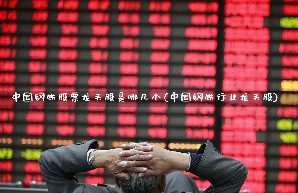 中国钢铁股票龙头股是哪几个(中国钢铁行业龙头股)_https://www.syklpowerbike.com_深交所_第1张