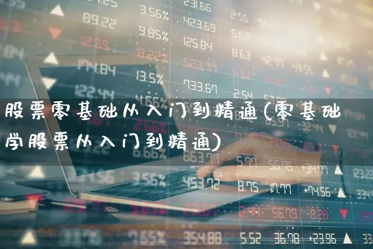 股票零基础从入门到精通(零基础学股票从入门到精通)_https://www.syklpowerbike.com_科创板_第1张