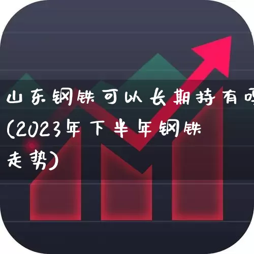 山东钢铁可以长期持有吗(2023年下半年钢铁走势)_https://www.syklpowerbike.com_创业板_第1张