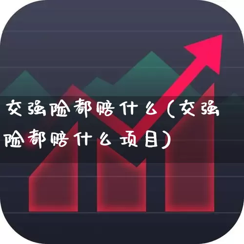 交强险都赔什么(交强险都赔什么项目)_https://www.syklpowerbike.com_北交所_第1张