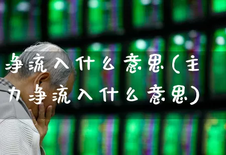 净流入什么意思(主力净流入什么意思)_https://www.syklpowerbike.com_北交所_第1张