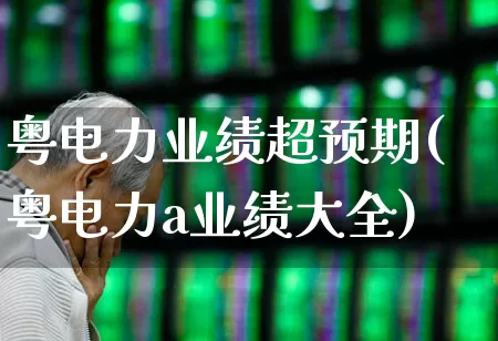粤电力业绩超预期(粤电力a业绩大全)_https://www.syklpowerbike.com_上交所_第1张