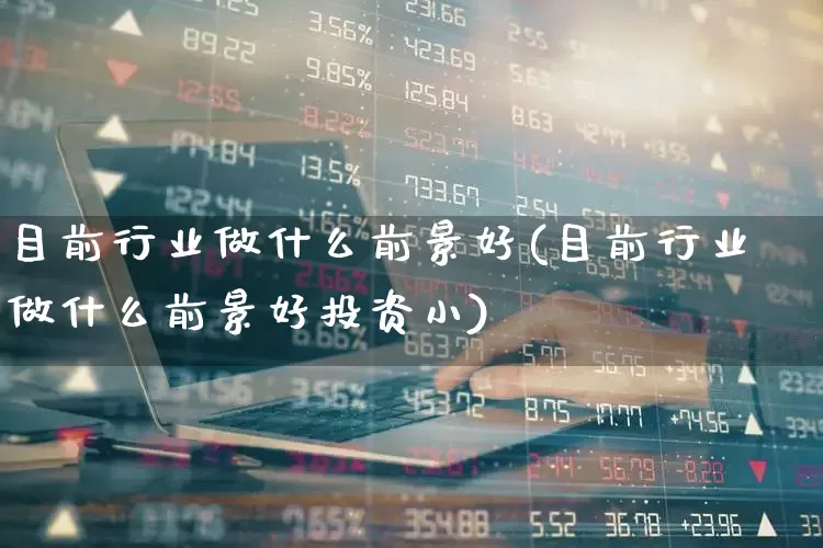 目前行业做什么前景好(目前行业做什么前景好投资小)_https://www.syklpowerbike.com_上交所_第1张