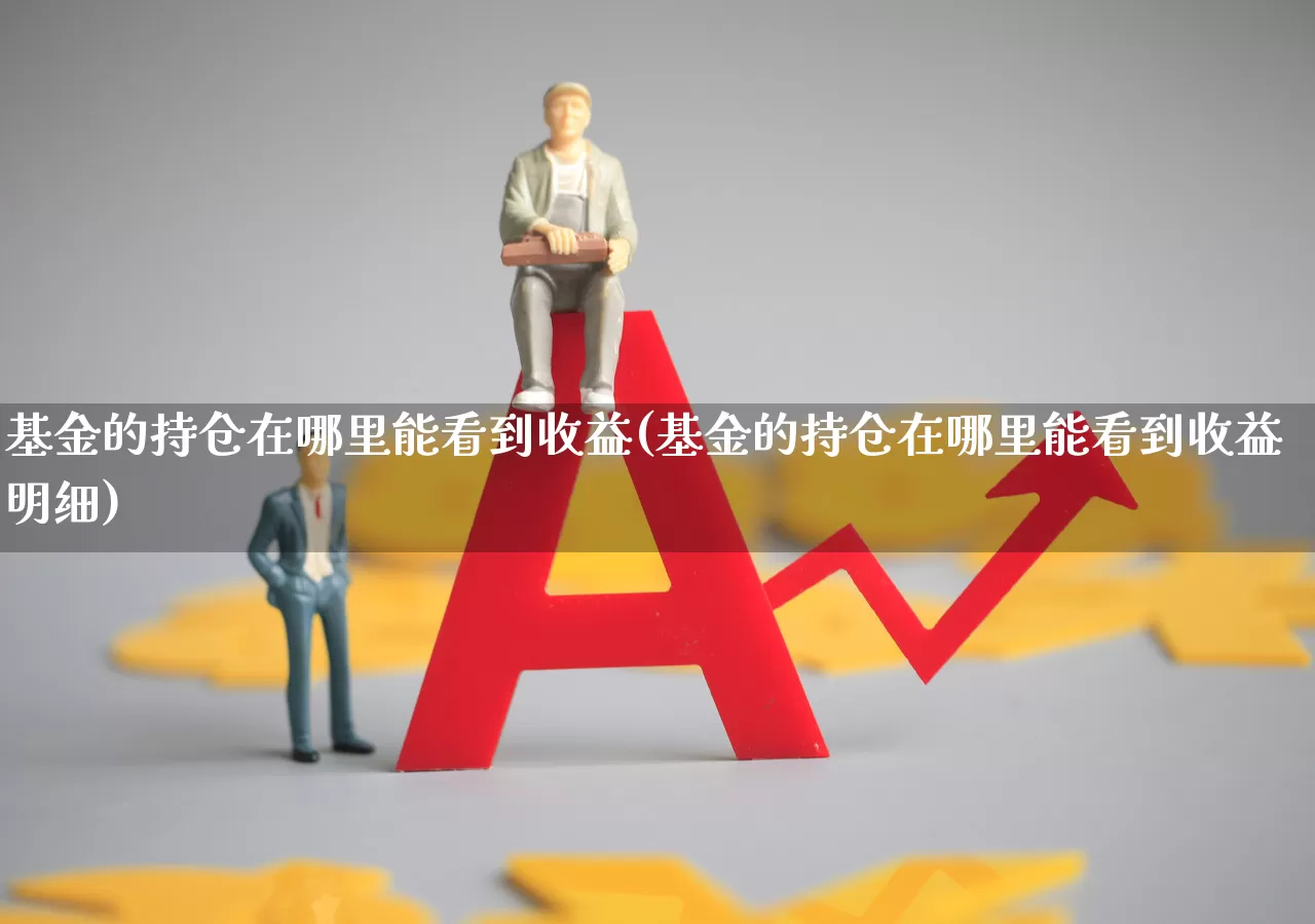 基金的持仓在哪里能看到收益(基金的持仓在哪里能看到收益明细)_https://www.syklpowerbike.com_北交所_第1张